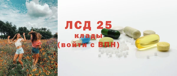 гашик Пересвет