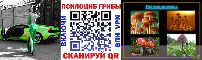 наркота  Сухой Лог  Галлюциногенные грибы прущие грибы 