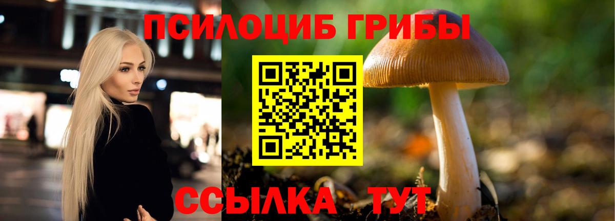 Псилоцибиновые грибы мухоморы  Галлюциногенные грибы мухоморы  Вход с VPN  дарнет шоп  Сухой Лог 